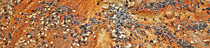 Multigrain bread - closeup of crust