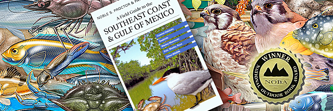 Art & cover image for the book A Field Guide to the Southeast Coast & Gulf of Mexico, with National Outdoor Book Award medallion.