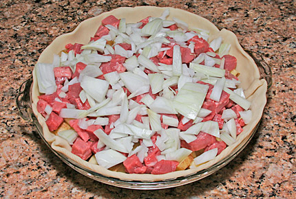 Place a loose layer of slided white onions over the beef layer.