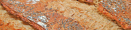 Close-up of rye bread crust.