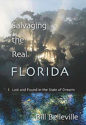 Book cover: Salvaging the Real Florida.