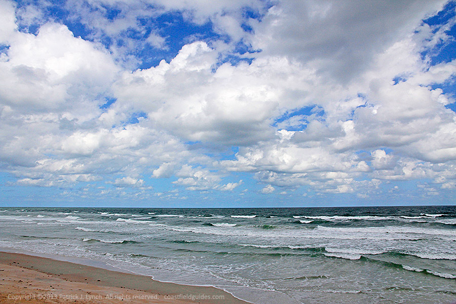 Photo of the beach and surf at Cape Canaveral National Seashore, Florida.