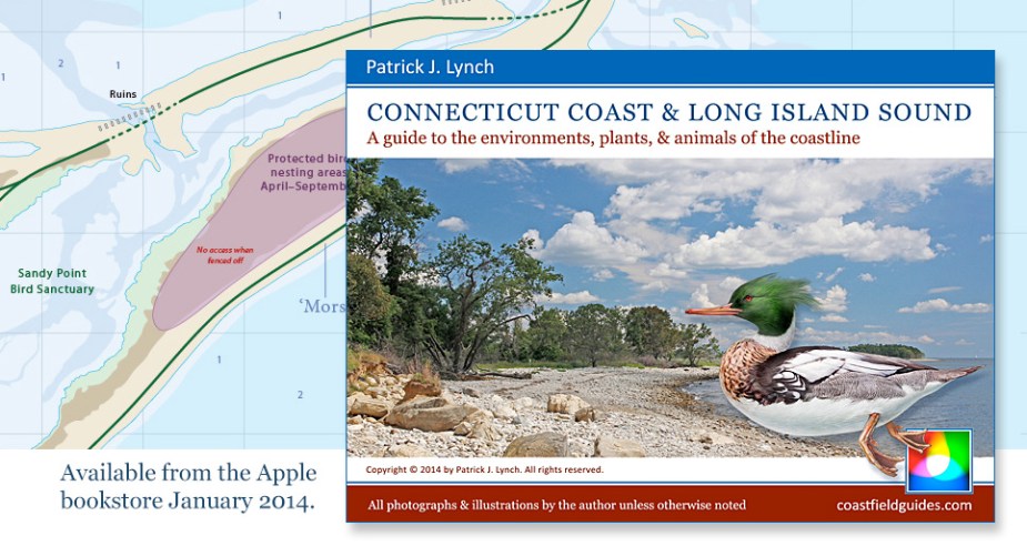 Example map & book cover.