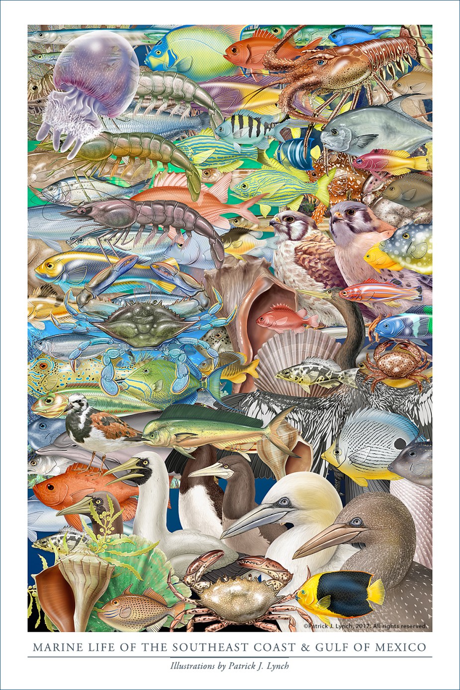 se-marine-life-poster-12x18