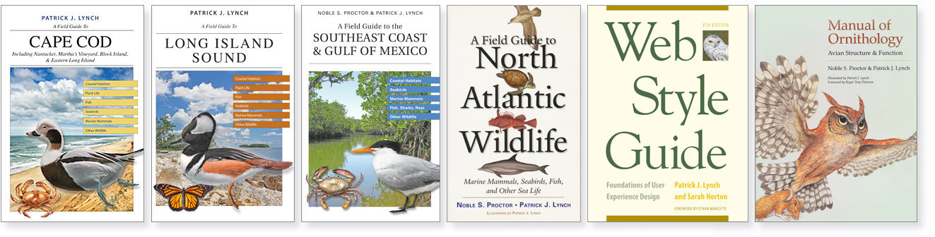 A row of six books by authored or c0-authored by Patrick J. Lynch.