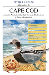 A small photo of the cover for "A Field Guide to Cape Cod."
