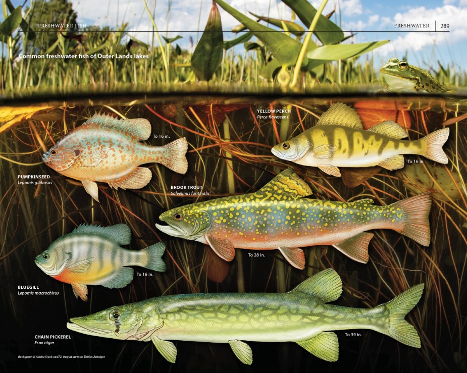Page spread on freshwater fish species, from "A Field Guide to Cape Cod."